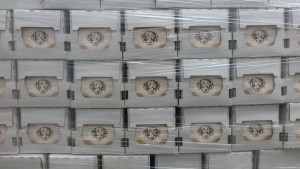 granata-1
